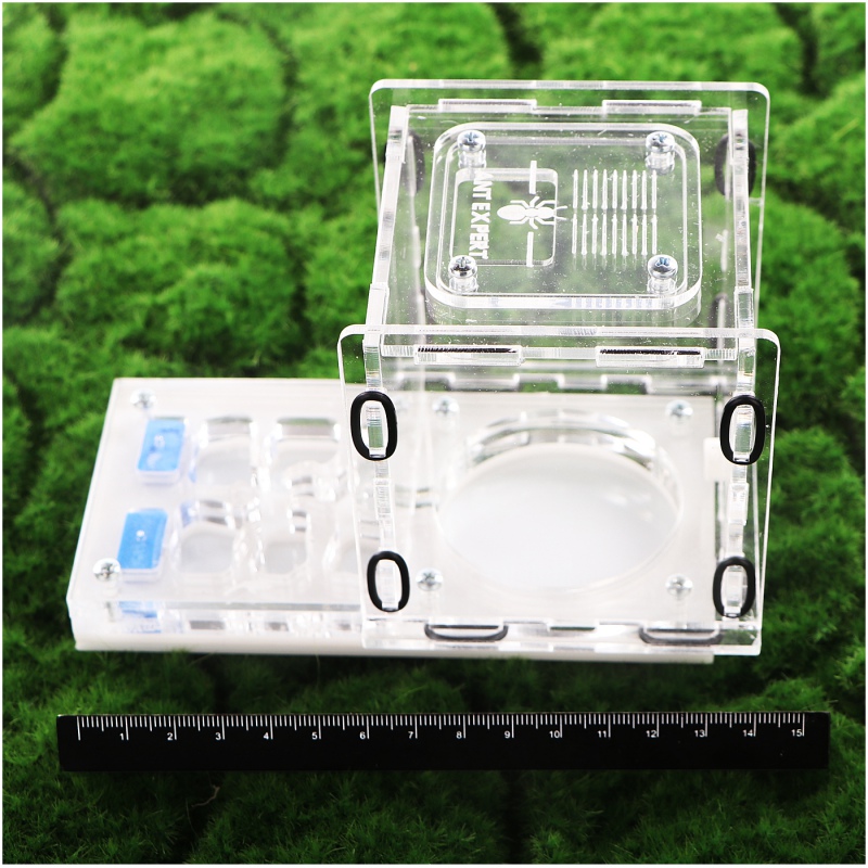 Ant Expert King's Valley - professional acrylic formicarium